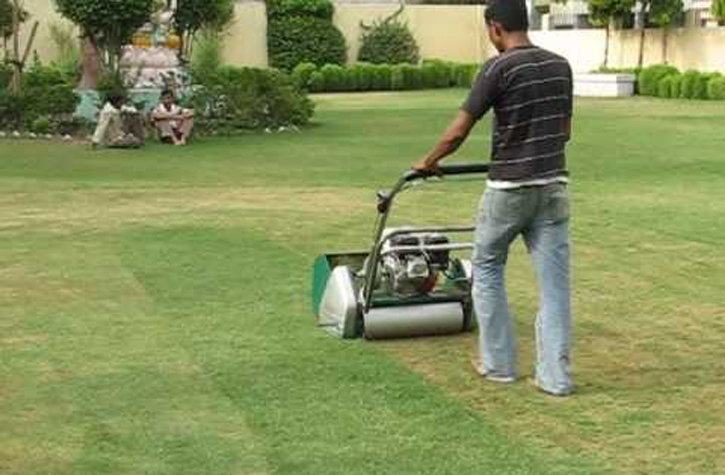 Gardening Services, Regular Garden Maintenance